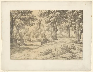 Vista da floresta
Tentamina Lithographica (título da série)
Paisagens italianas (título da série)