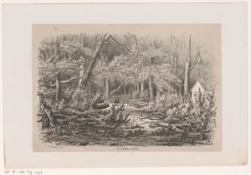 Árvores derrubadas em Jacobalaan, após a tempestade de 28 de maio de 1860 Jacobalaan (título no objeto) Álbum de dez esboços litografados, representando Tooneelen da Destruição, Agitado pela tempestade de 28 de maio de 1860 em 