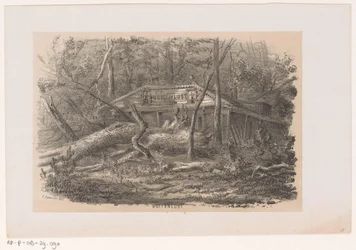 Árvore derrubada em Buitenlust, após a tempestade de 28 de maio de 1860 Buitenlust (título no objeto) Álbum de dez esboços litografados, representando Tooneelen da Destruição, Agitado pela tempestade de 28 de maio de 1860 no 
