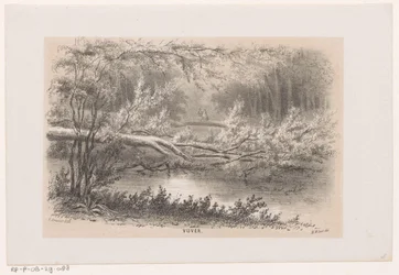 Árvore abatida, após a tempestade de 28 de Maio de 1860
Lago (título sobre o objecto)
Álbum de dez esboços litografados, retratando cenas da destruição causada pela tempestade de 28 de Maio de 1860 na Bosch, em Haia, em Scheveningen, etc. (