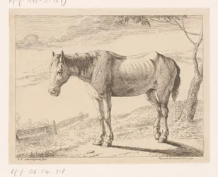 Cavalo
Vários animais (título da série)
