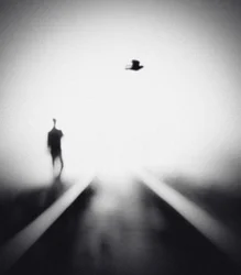 Homem Solitário, Pássaro Voador