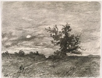 Paisagem ao luar