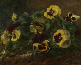 Pansies, 1903.