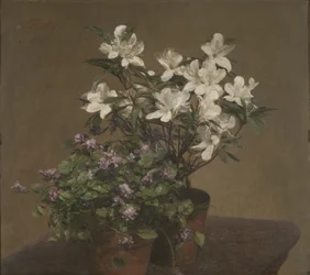 Violetas e azáleas