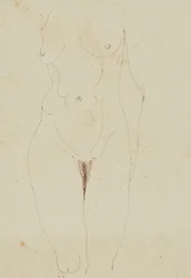 Torso Nu Feminino (caneta e tinta no papel)