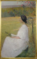 A Musa (pintura sobre tela)