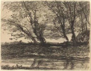 Paisagem