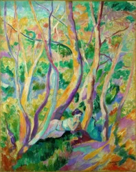 Mulher na floresta