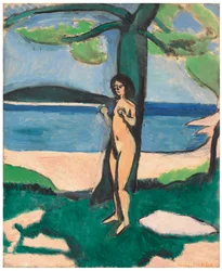Nu à beira-mar