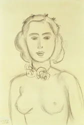 Mulher com os seios à mostra