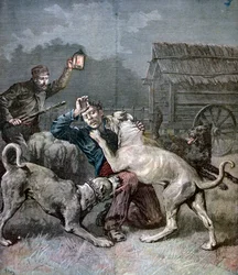 Um criminoso atacado por três cães grandes, 1891