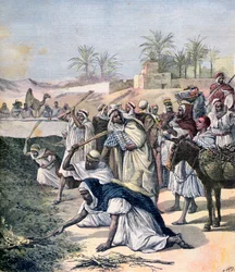 A praga dos gafanhotos, Argélia, 1891