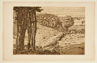 [O porto de Douarnenez]