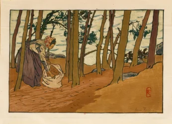 paisagem