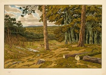 paisagem