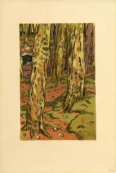 paisagem