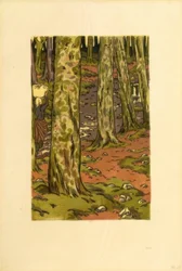 paisagem