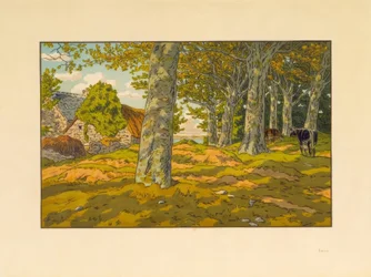 paisagem
