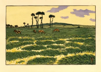 paisagem