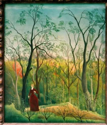 O passeio na floresta