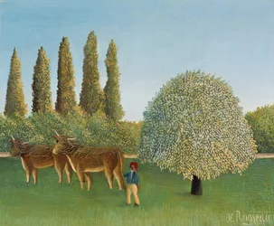 Meadowland The Pasture