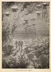 "A walk under the waters" de "20 000 Leagues Under The Sea", c.1870 (gravura)