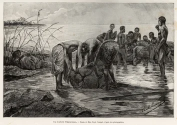 Um açougue hipopótamo nas margens de um rio da África Central. Gravado por Henri Thiriat para ilustrar a história "La mission Crampel", de Albert Nebout (1862-1939), em 1890, em Le tour du Monde 1892, dirigido por Edouard Charton (1807-1891), Hachette, Pa