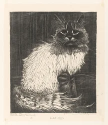 Bonte Angora (título original no objeto)