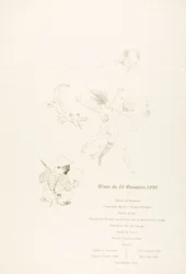 O crocodilo, Menu