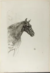 Philibert, o Pônei