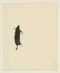 Tailpiece de At the Foot of Sinai