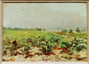 Vista das vinhas