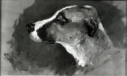 Cabeça de um cão com orelhas curtas, 1879