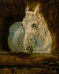 A gazela do cavalo branco