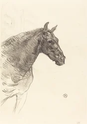 Cavalo Velho O Cavalo Velho, 1897.