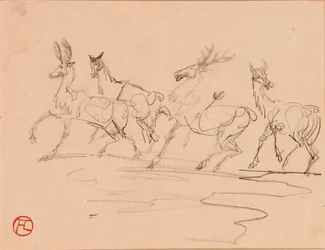 Veados e Hinds