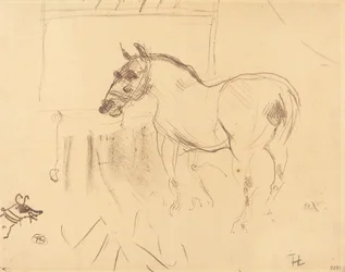 O Pequeno Pônei de Calmese O Pequeno Pônei de Calmese, 1899.