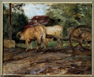 Os bois sob o jugo Pintura de Henri de Toulouse Lautrec (1864-1901) Bordeaux do século XIX, Musee des Beaux Arts