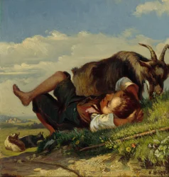 Rapaz pastor com cabras