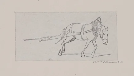 Um cavalo de tração