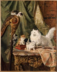 Um Interlúdio Musical, 1897