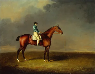 Sua Alteza Real, o Príncipe de Gales, o cavalo de corrida baio Sir David, por Trumpator, com Chifney em cima, em Newmarket Heath