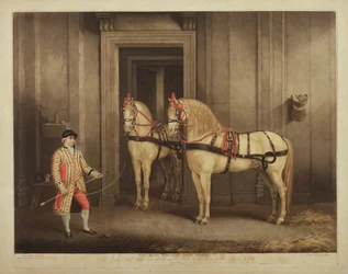 Dois de seus cavalos de estado de majestade, gravados por William Ward, 1 de setembro de 1800 (mezzotint)