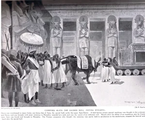 Cambyses mata a bula sagrada, ilustração de "Hutchinsons História das Nações", c.1910