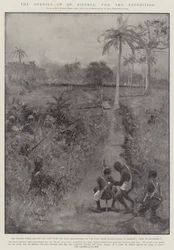 A abertura da Nigéria, a expedição Aro