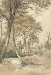 Corrente com árvores e gado perto de Bromley Hill, Kent