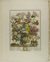 Outubro, de Doze Meses de Flores