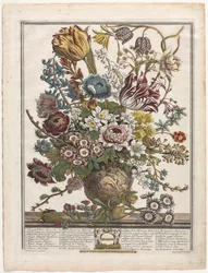 Doze meses de flores: março de 1730.