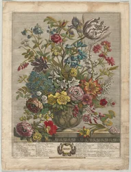 Doze Meses de Flores: Maio, 1730.